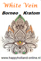 Borneo Kratom wit   Mitragyna Speciosa
